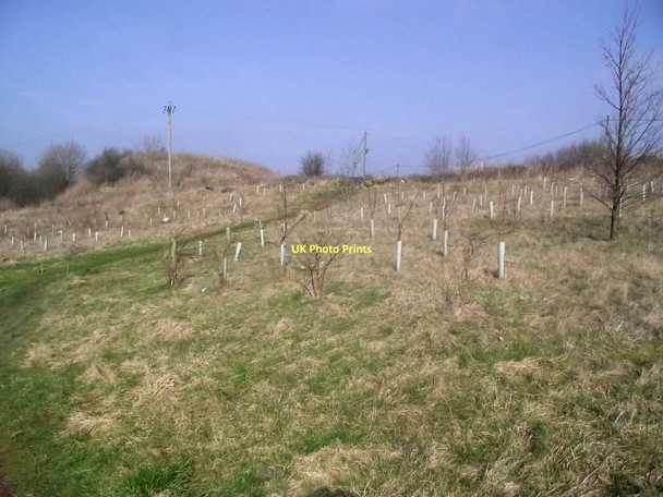 Photo 6"x4" Looking to the entrance Lane Ends\/SJ8754 c2011