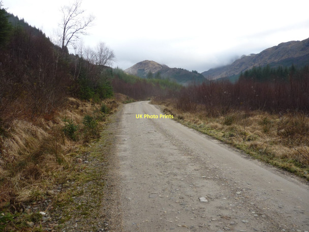 Photo 6"x4" Forestry road in Glen Hurich Glenhurich c2011