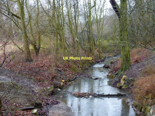 Photo 6"x4" Trough Brook, Ringwood Park Staveley\/SK4374 c2011