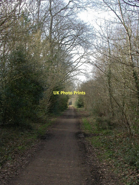 Photo 6"x4" Ameysford, trailway Ameysford c2011