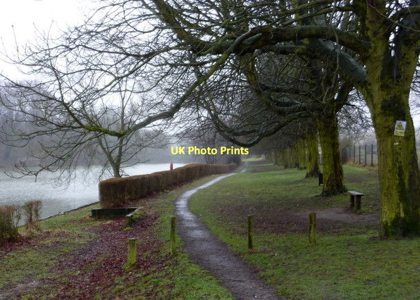 Photo 6"x4" Path by Ringwood Lake Staveley\/SK4374 c2011