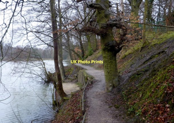 Photo 6"x4" Footpath by the lake in Ringwood Park Staveley\/SK4374 c2011