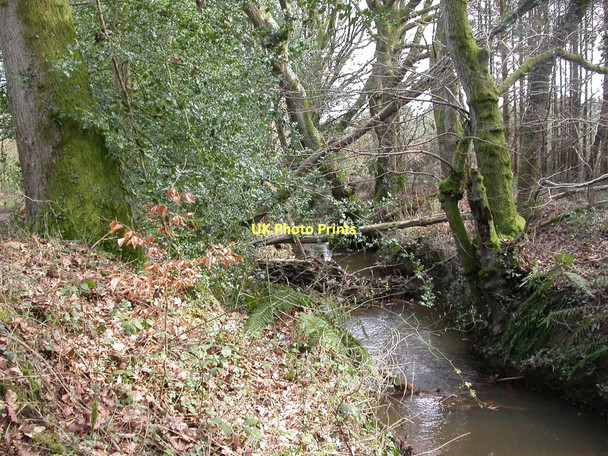 Photo 6"x4" Ameysford, Uddens Water Ameysford c2011