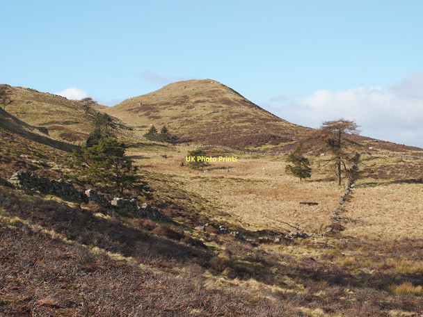 Photo 6"x4" Below Bishop Hill Easter Balgedie c2011