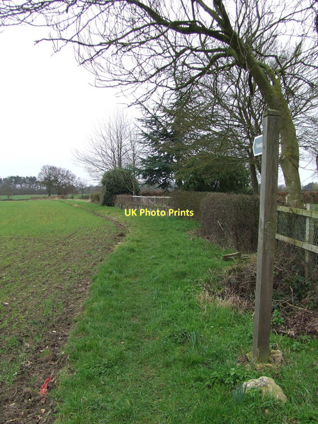 Photo 6"x4" Footpath And Sign Cook's Green\/TL9753 c2011