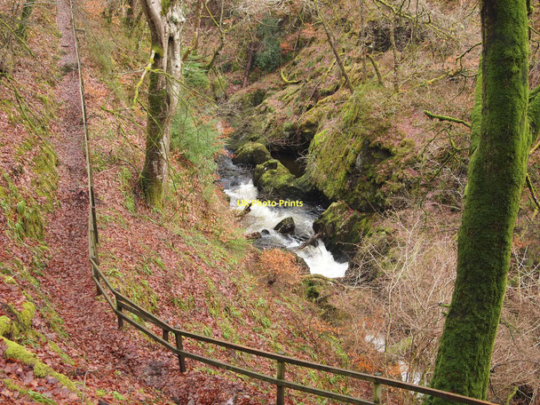 Photo 6"x4" Path beside the River Lednock Comrie\/NN7722 c2011