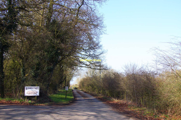 Photo 6"x4" Road to Woods Farm Cookley Green\/SU6990 c2011