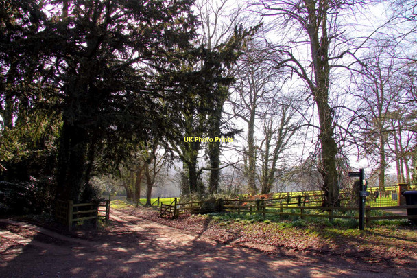 Photo 6"x4" The Ridgeway by Swyncombe House Cookley Green\/SU6990 c2011