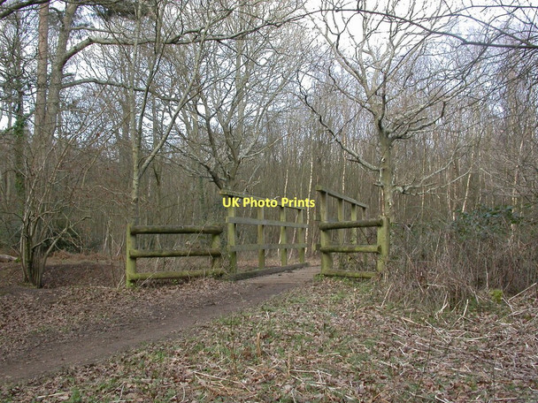 Photo 6"x4" Uddens Plantation, footbridge Ameysford c2011