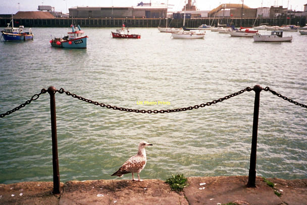 Photo 6"x4" Folkestone, outer harbour Folkestone c2004