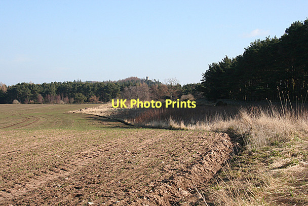 Photo 6"x4" Near Ardgye Newton\/NJ1663 c2011