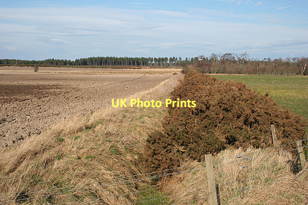 Photo 6"x4" Drainage Ditch Coltfield c2011