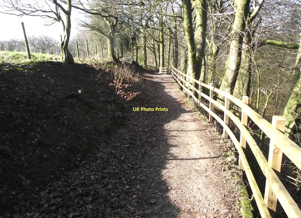 Photo 6"x4" Down the path Biddulph c2011