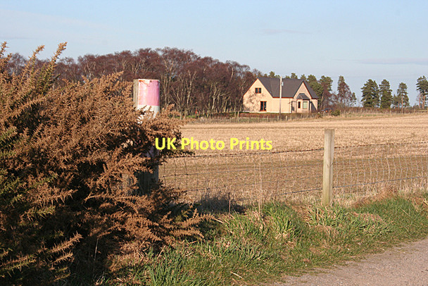 Photo 6"x4" New House near Morayscairn Coltfield c2011