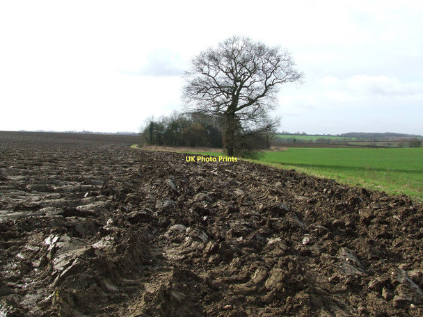 Photo 6"x4" Tree And Copse Kettlebaston c2011