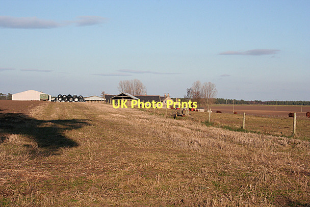Photo 6"x4" Standingstone Farm Alves c2011