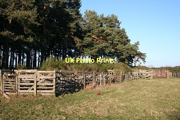Photo 6"x4" Livestock Pens Alves c2011