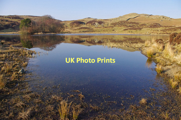 Photo 6"x4" Gurnal Dubs Garnett Bridge c2011