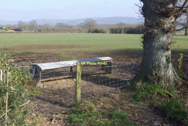 Photo 6"x4" Farmland east of Denbigh Denbigh\/Dinbych c2011