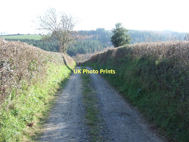 Photo 6"x4" Track to Hayne Farm Half Moon Village c2011