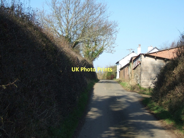 Photo 6"x4" Coldharbour Cottage Half Moon Village c2011