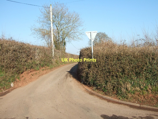 Photo 6"x4" Road to Jackmoor from Jackmoor Cross Half Moon Village c2011