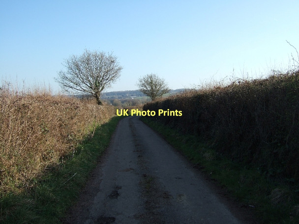 Photo 6"x4" Lane south of Nettacott Nettacott c2011