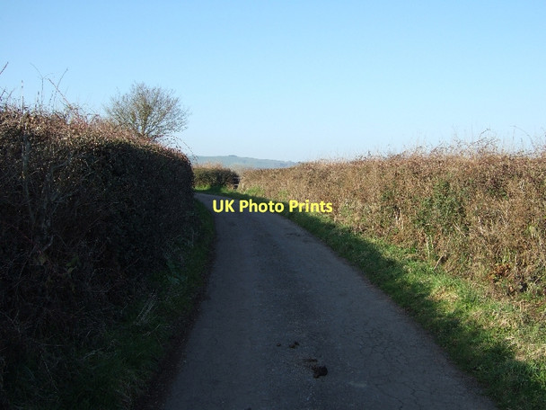 Photo 6"x4" Lane from Nettacott to Five Oaks Cross Nettacott c2011