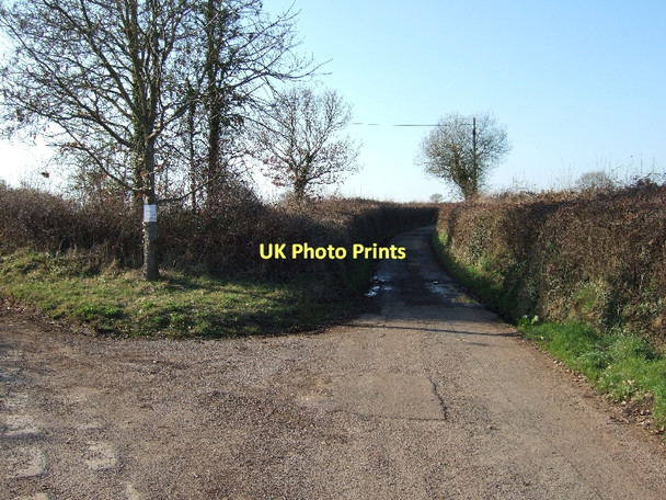 Photo 6"x4" Road to Nettacott at Five Oaks Cross Langford\/SX9097 c2011