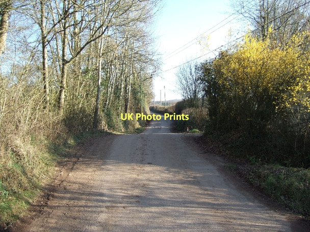 Photo 6"x4" Road from Jackmoor to Ley Langford\/SX9097 c2011