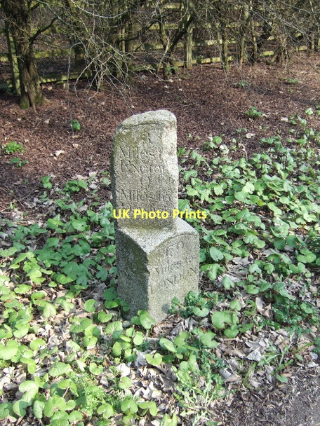 Photo 6"x4" Milestone near Exminster Exminster c2011