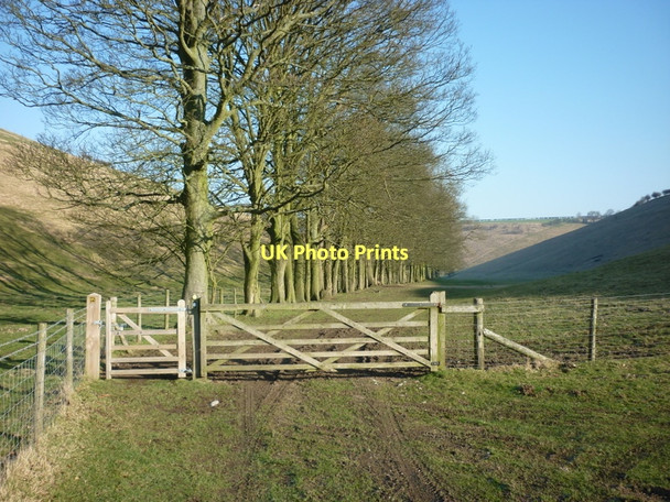 Photo 6"x4" The Wolds Way south of Thixendale Thixendale c2011