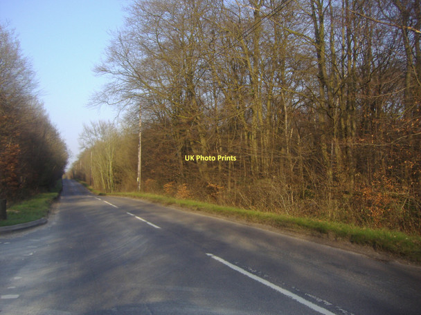 Photo 6"x4" Potkiln Lane, Jordans Wilton Park\/SU9690 c2011
