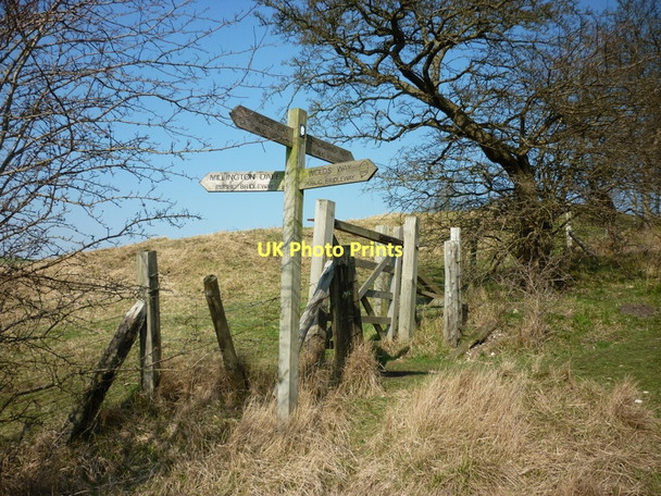 Photo 6"x4" A junction of paths at Millington Dale Millington c2011