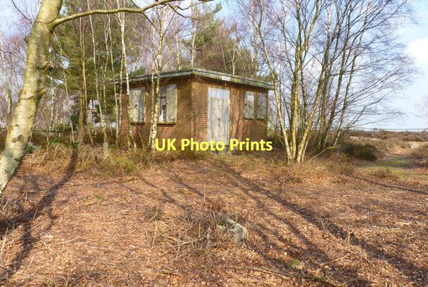 Photo 6"x4" Building on the Ridge at Ramsdown Plantation Blackwater\/SZ1395 c2011