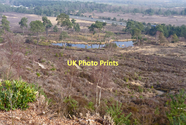 Photo 6"x4" View from the Top of Ramsdown Plantation Ridge Blackwater\/SZ1395 c2011
