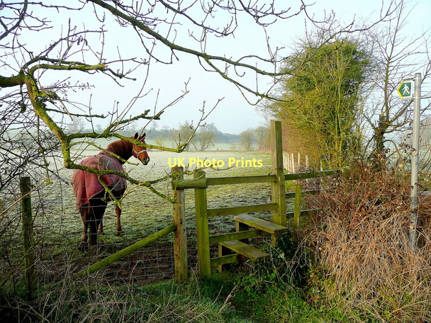 Photo 6"x4" Footpath to Denny Hill Oakle Street c2011