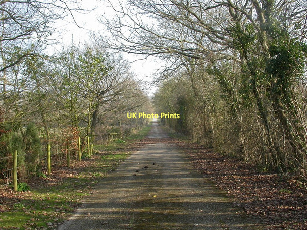 Photo 6"x4" Woodlands, Bagman's Lane Wigbeth c2011
