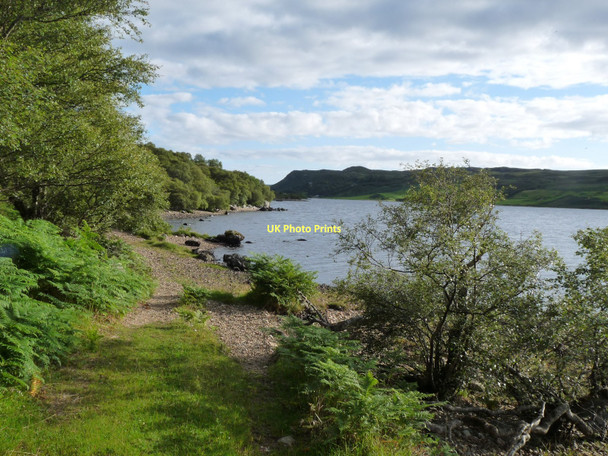 Photo 6"x4" Loch Hope's wooded shore Ben Arnaboll c2010