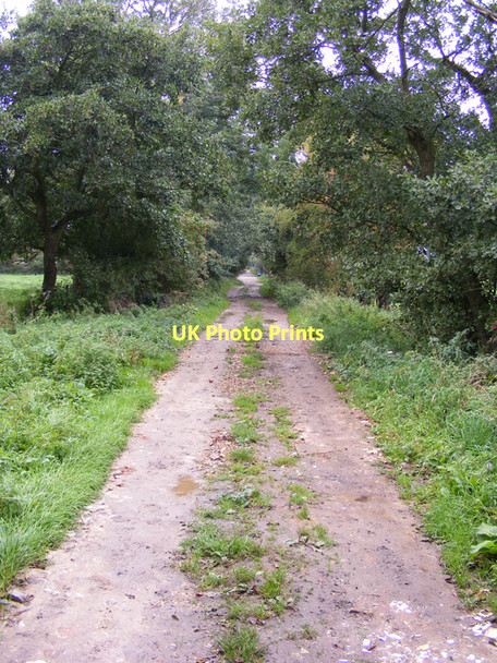 Photo 6"x4" Track and footpath towards Earsham Mill Earsham c2010