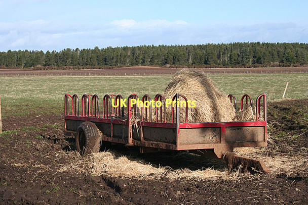 Photo 6"x4" Cattle Feeder Upper Dallachy\/NJ3662 c2011