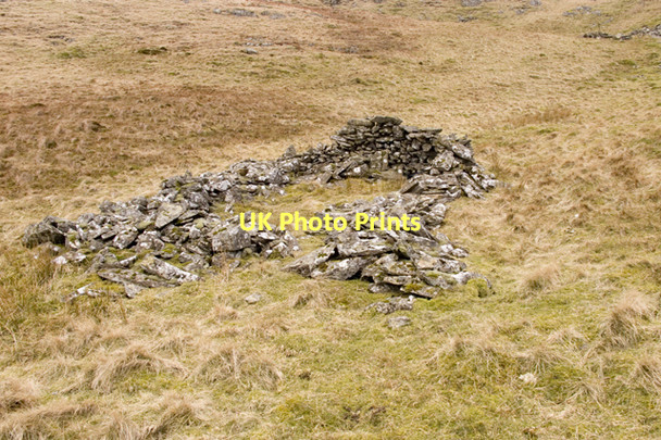 Photo 6"x4" Sheepfold on Brown Howe Brown Howe\/NY4812 c2011