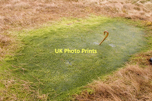 Photo 6"x4" Boggy pool on Brown Howe Brown Howe\/NY4812 c2011