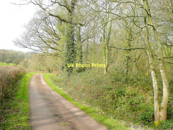 Photo 6"x4" Farm track and bridleway Bullo c2011