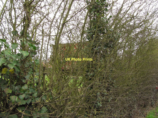 Photo 6"x4" Hidden from view Cholsey c2011
