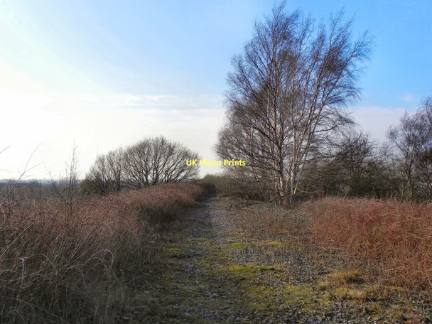 Photo 6"x4" Dismantled Railway, Cadishead Irlam c2011