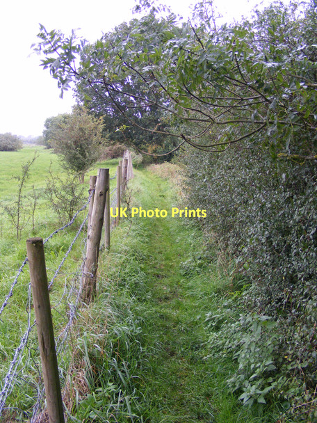 Photo 6"x4" Footpath towards Earsham Dam Earsham c2010