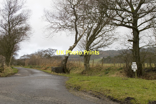 Photo 6"x4" Lane to Broadgate Farm Bleasdale c2011
