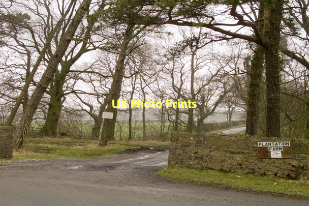 Photo 6"x4" Road to Plantation Farm Walker Fold\/SD6741 c2011