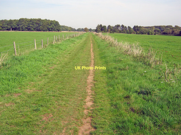 Photo 6"x4" Path through Stowe Park Dadford c2010